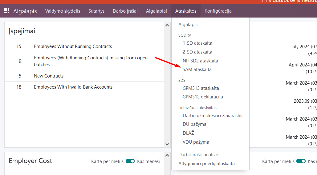 Creating a SAM report in Odoo