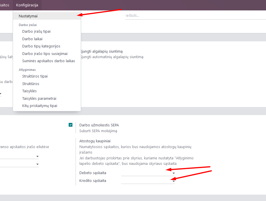 Opening vacation accrual settings