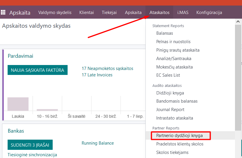 Reports/Partner Ledger