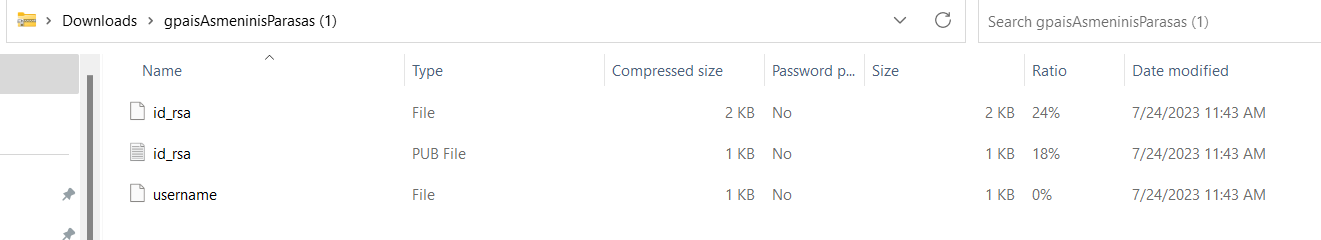 RSA key generated files