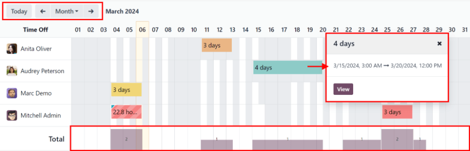 Overview of the user's team, with time off requests shown.