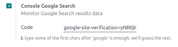 Website Settings pasting GSC code