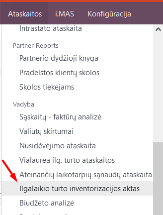 Apskaitos modulio ataskaitų skyrius