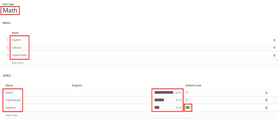 Matematikos įgūdžių formos pavyzdys, su visa įvesta informacija.