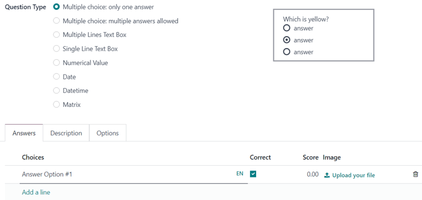 Atsakymo skirtukas su pasirenkama atsakymo galimybe Odoo apklausose.
