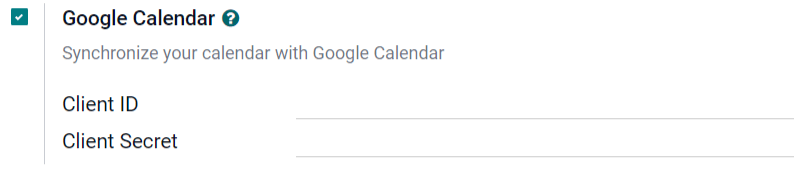 „Google Calendar“ žymės langelis bendruosiuose nustatymuose.